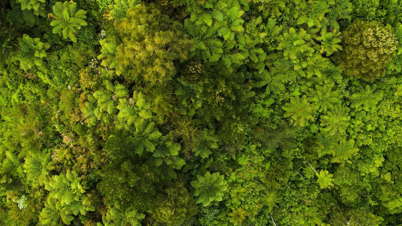 Sustainability Banner